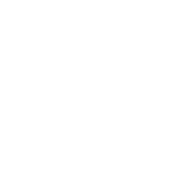 Burger King logo