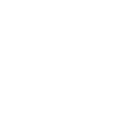 D'S Damat logo