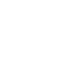 Flormar logo