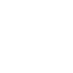 Flo logo