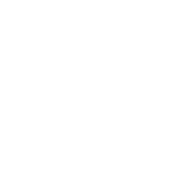 Özsüt logo
