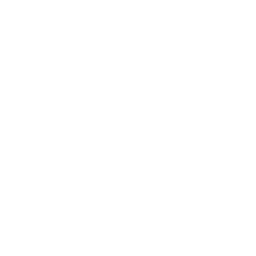 Vodafone logo