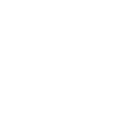 PİDEM logo