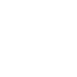 Vicco logo