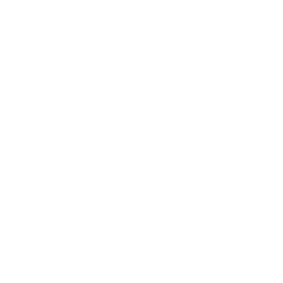 Rossmann logo